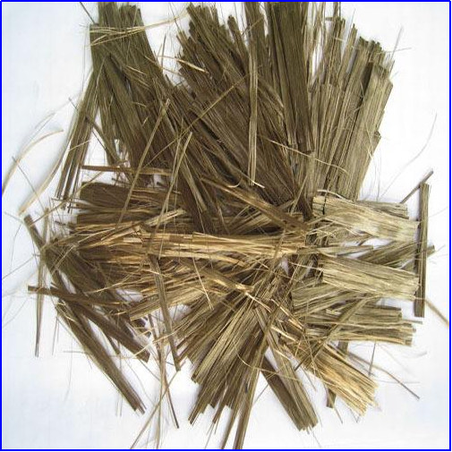 Yy易游体育科技