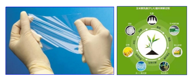 Yy易游体育科技