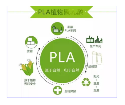 Yy易游体育科技