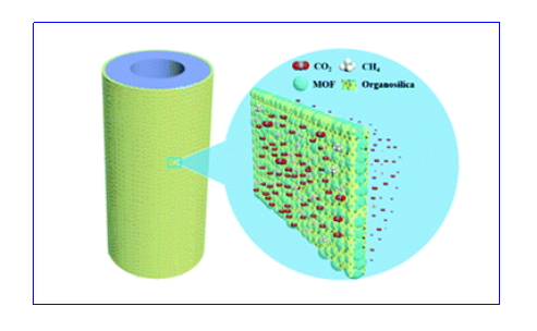Yy易游体育科技
