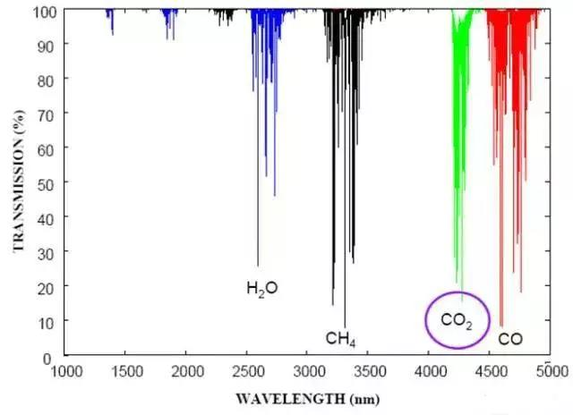 Yy易游体育科技