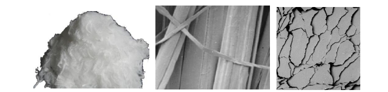 Yy易游体育科技