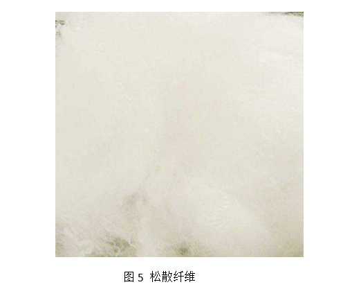 Yy易游体育科技