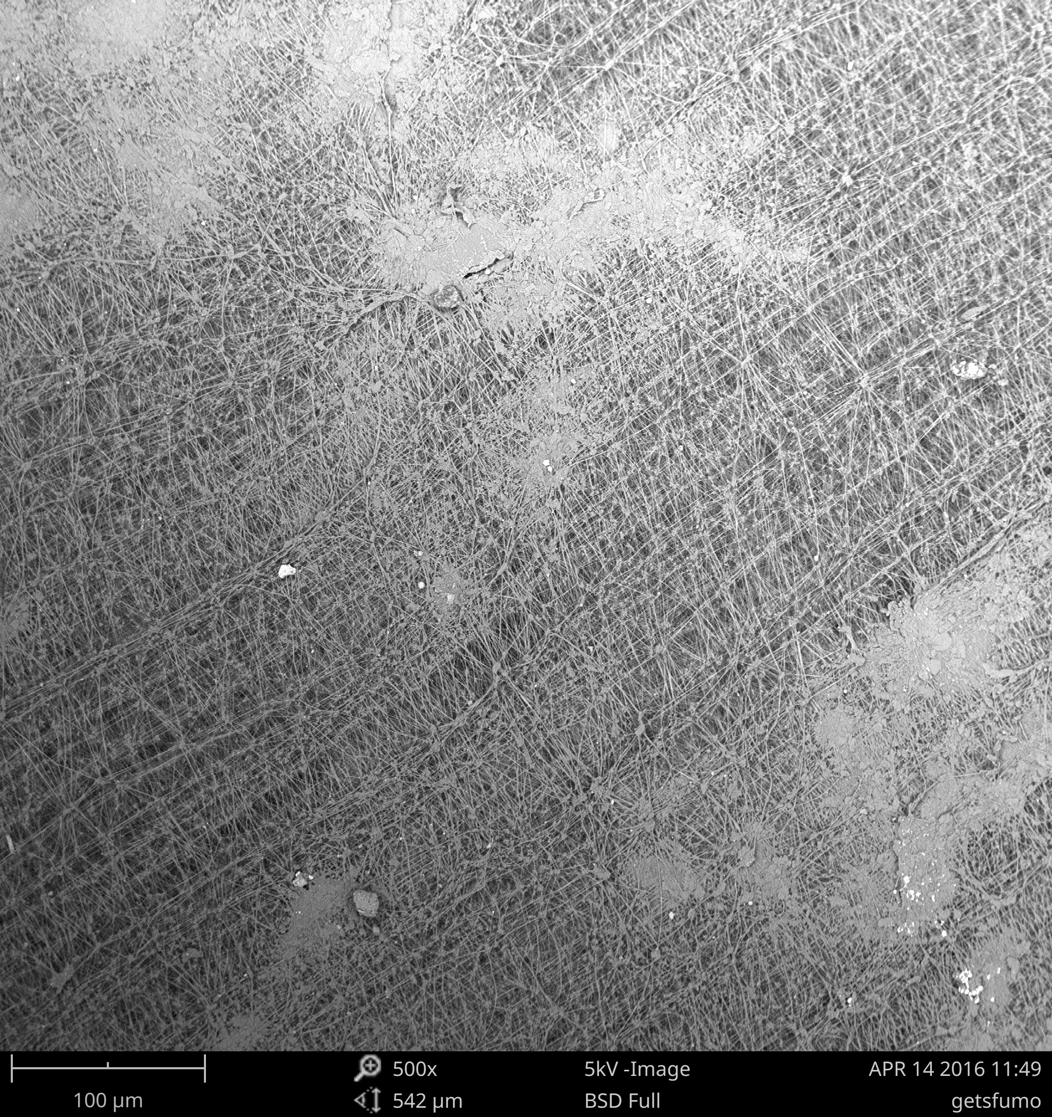 Yy易游体育科技