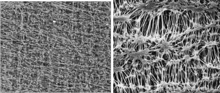 Yy易游体育科技