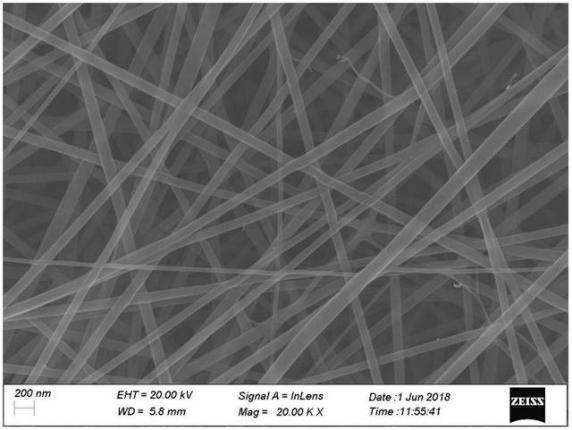 Yy易游体育科技