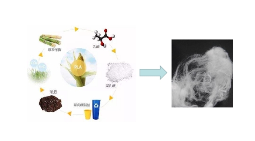 Yy易游体育科技