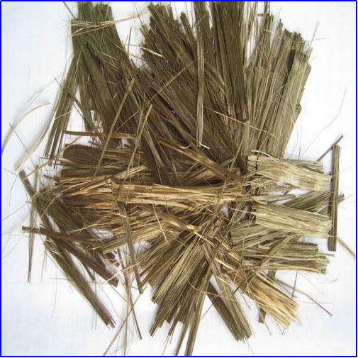 Yy易游体育科技