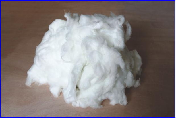 Yy易游体育科技