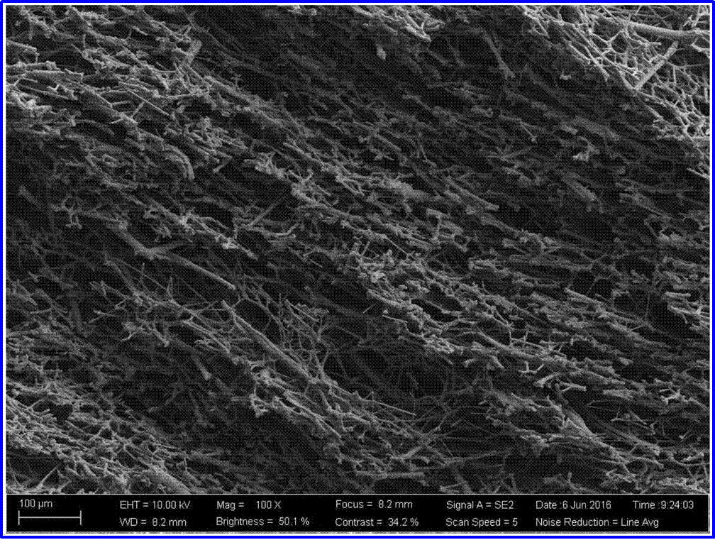 Yy易游体育科技
