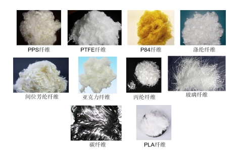 Yy易游体育科技