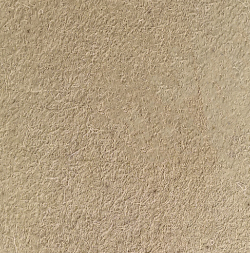 Yy易游体育科技