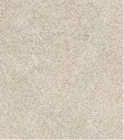 Yy易游体育科技