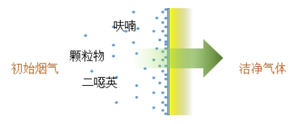 Yy易游体育科技