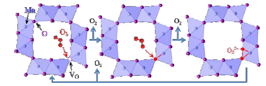 Yy易游体育科技