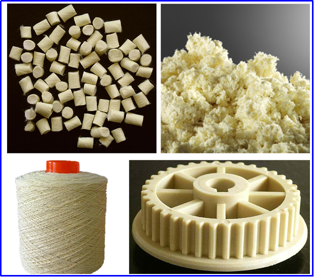 Yy易游体育科技