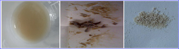 Yy易游体育科技