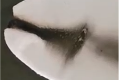 Yy易游体育科技