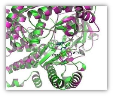 Yy易游体育科技