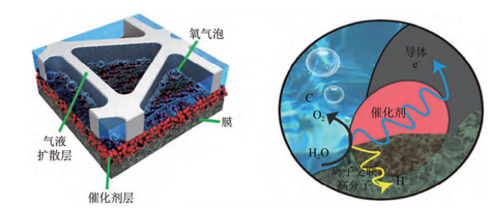 Yy易游体育科技