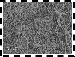 Yy易游体育科技