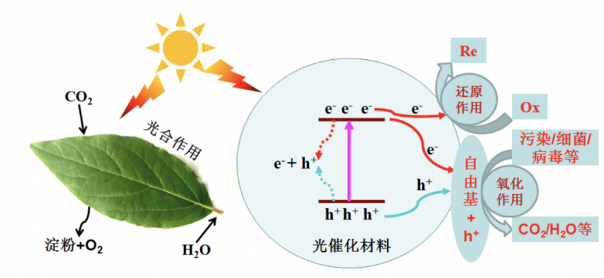 Yy易游体育科技