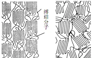 Yy易游体育科技