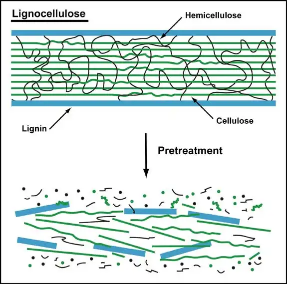 Yy易游体育科技