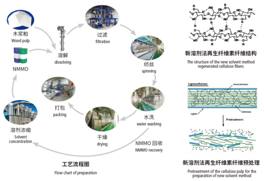 Yy易游体育科技