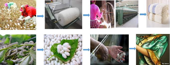 Yy易游体育科技