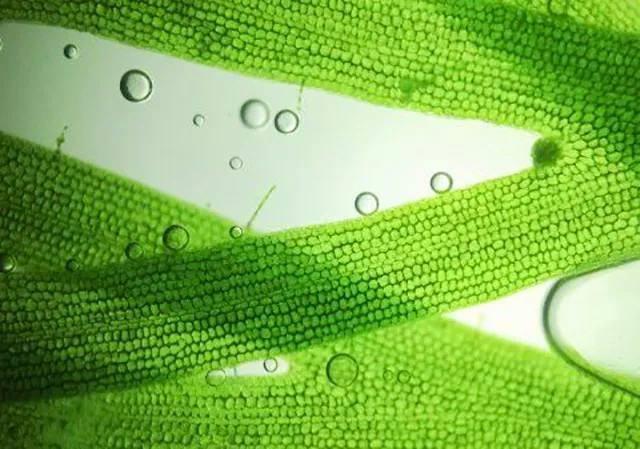 Yy易游体育科技