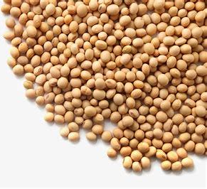 Yy易游体育科技