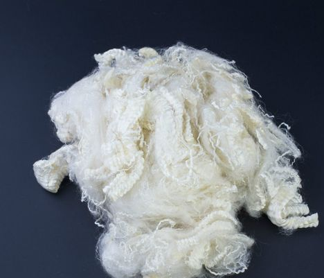 Yy易游体育科技