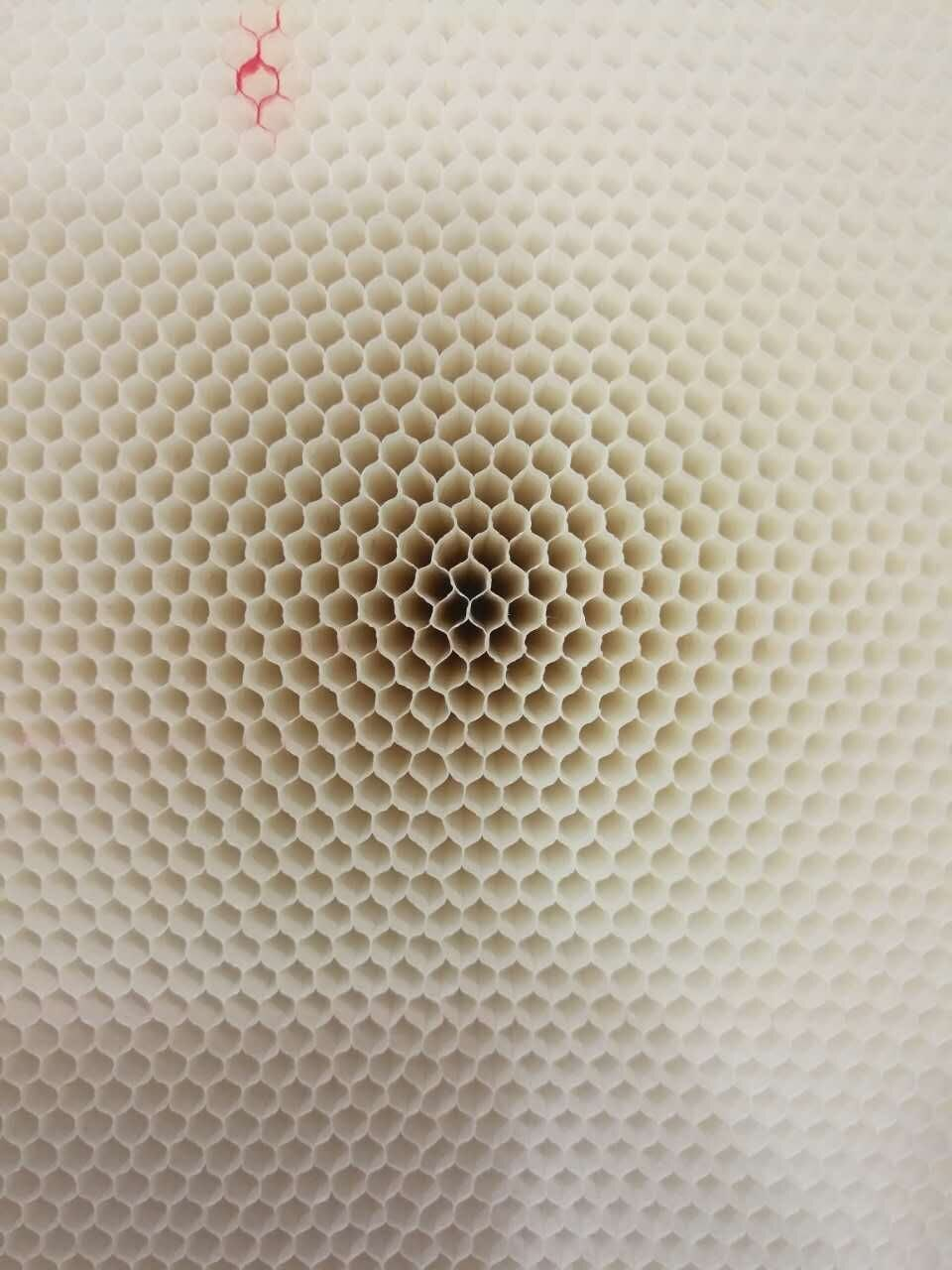 Yy易游体育科技