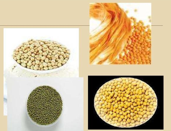 Yy易游体育科技