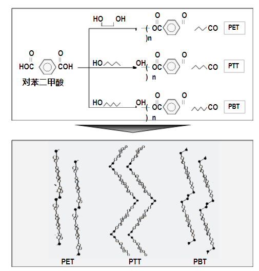 Yy易游体育科技