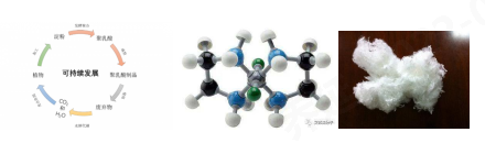 Yy易游体育科技