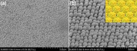 Yy易游体育科技