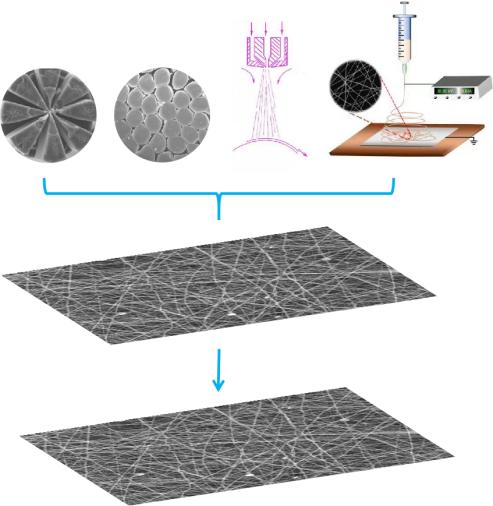 Yy易游体育科技