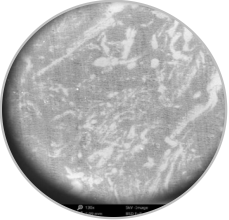 Yy易游体育科技