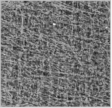 Yy易游体育科技