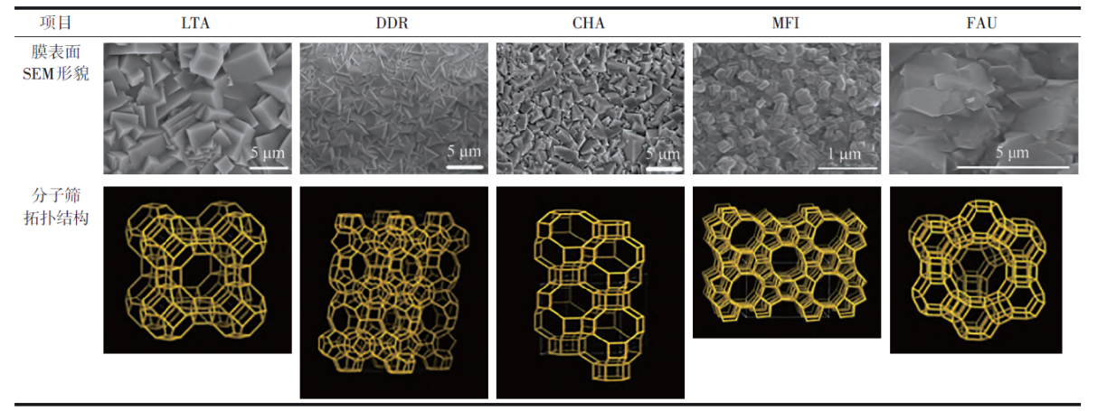 Yy易游体育科技