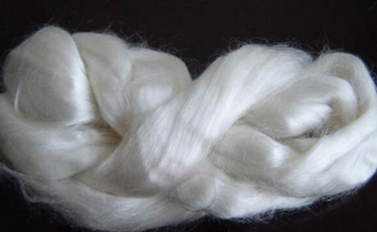 Yy易游体育科技