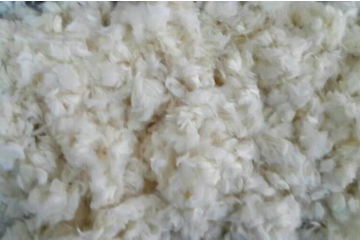 Yy易游体育科技