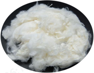 Yy易游体育科技