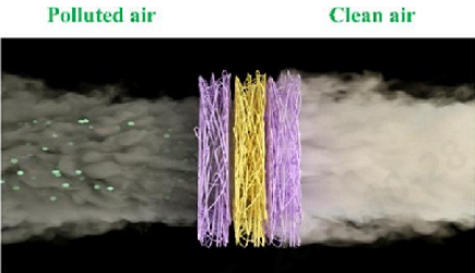 Yy易游体育科技