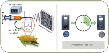 Yy易游体育科技